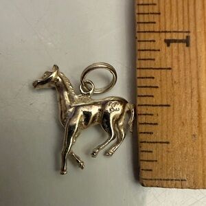 Horse charm